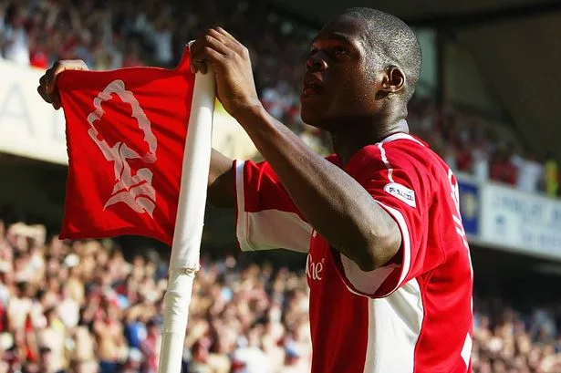 marlon harewood forest 