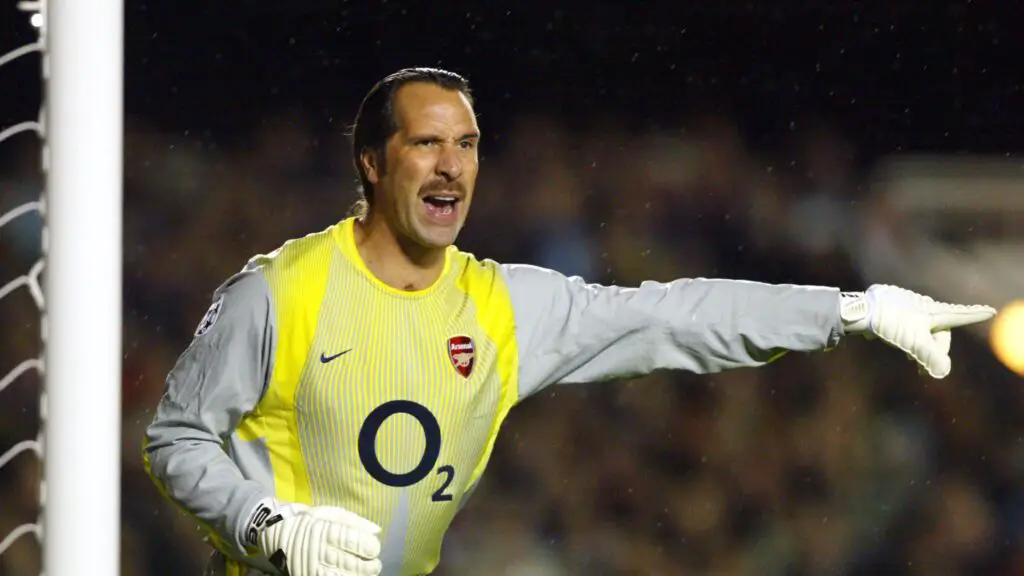 David Seaman was one of Arsenal FC's most famous goalkeepers.
